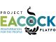 Project Peacock