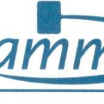 stamm_M_fg_logo_updated_071222